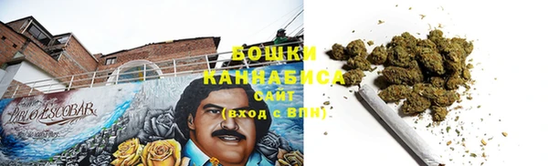 винт Пересвет