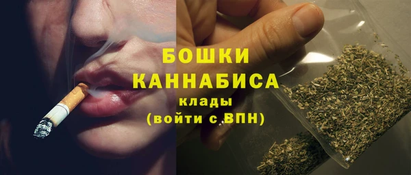 хмурый Пестово