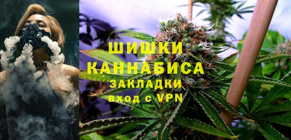 сатива Белокуриха