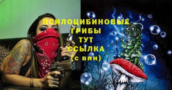 сатива Белокуриха