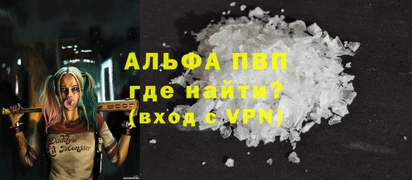 сатива Белокуриха